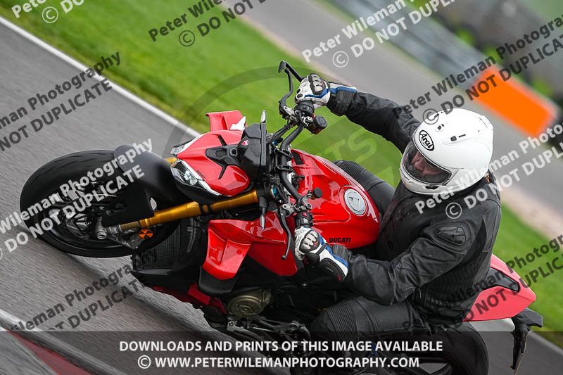 03-02-2019 Grantham Pegasus Trial Stainby;donington no limits trackday;donington park photographs;donington trackday photographs;enduro digital images;eventdigitalimages;no limits trackdays;peter wileman photography;trackday digital images;trackday photos
